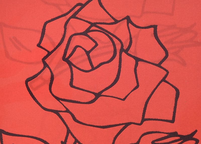 Rose Design Bercetak PPGI Gegelung Keluli Bersalut TN010